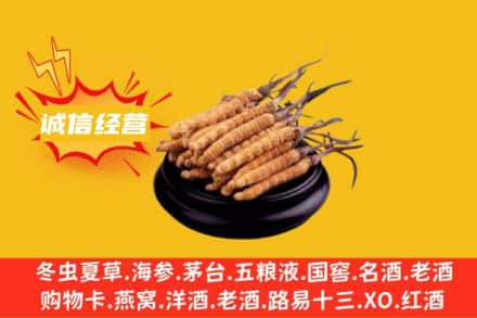 长子县回收冬虫夏草